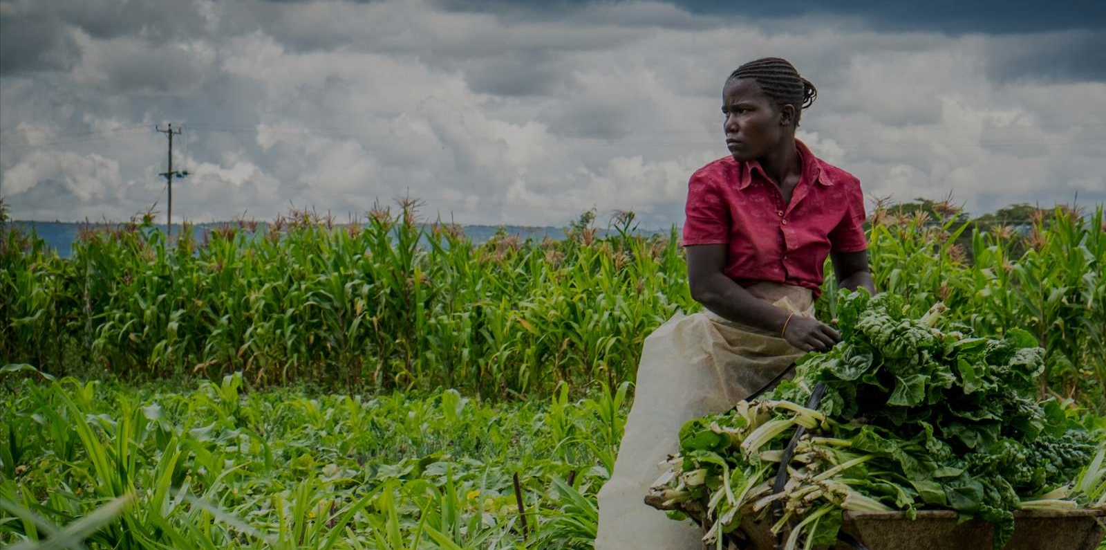 female farmer in Africa