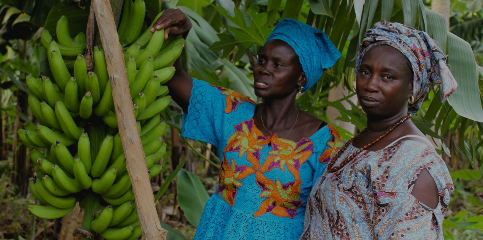 GAFSP Senegal