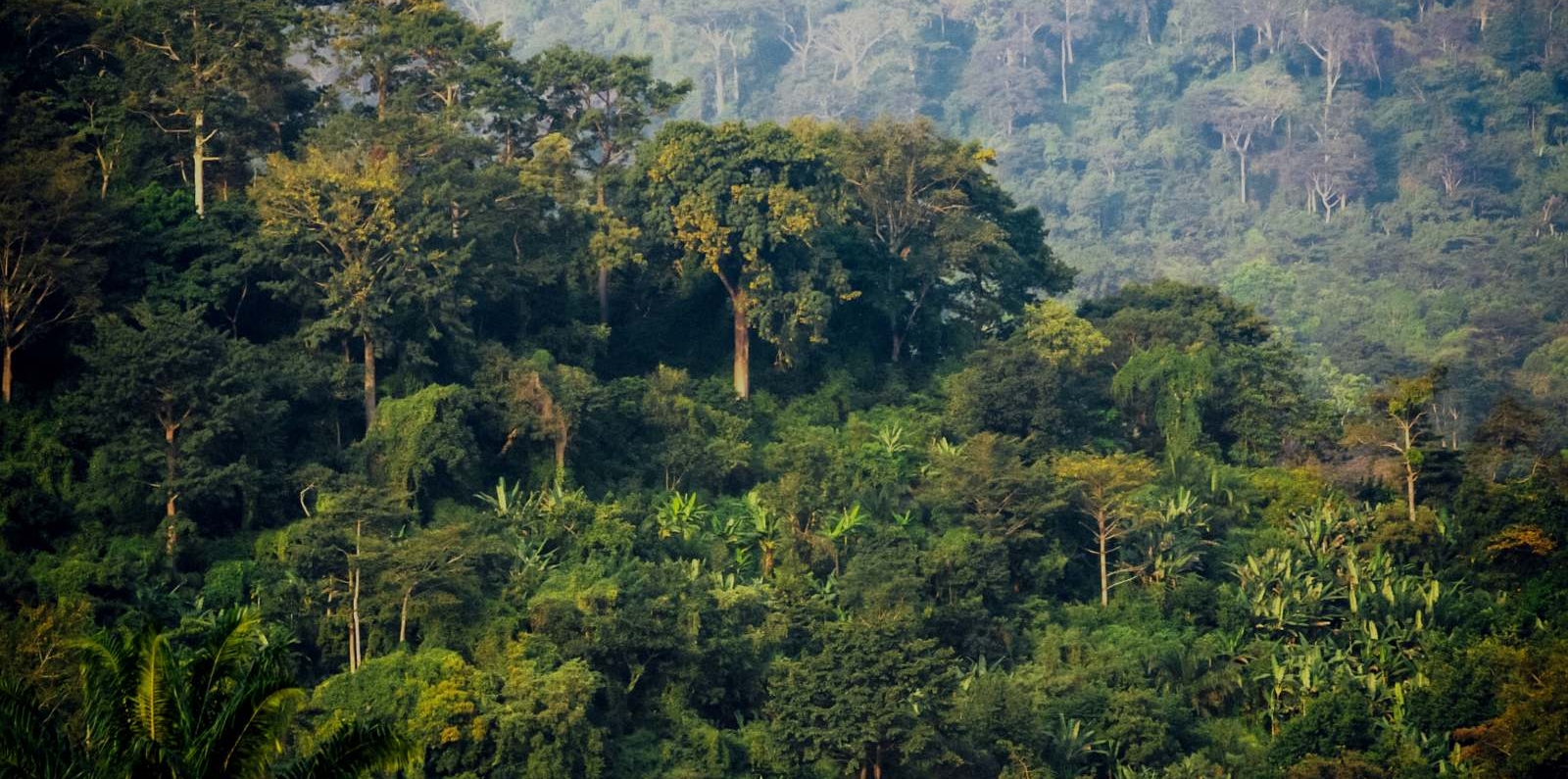 Togo landscape