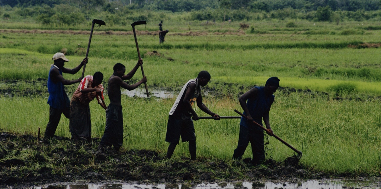 Tanzania