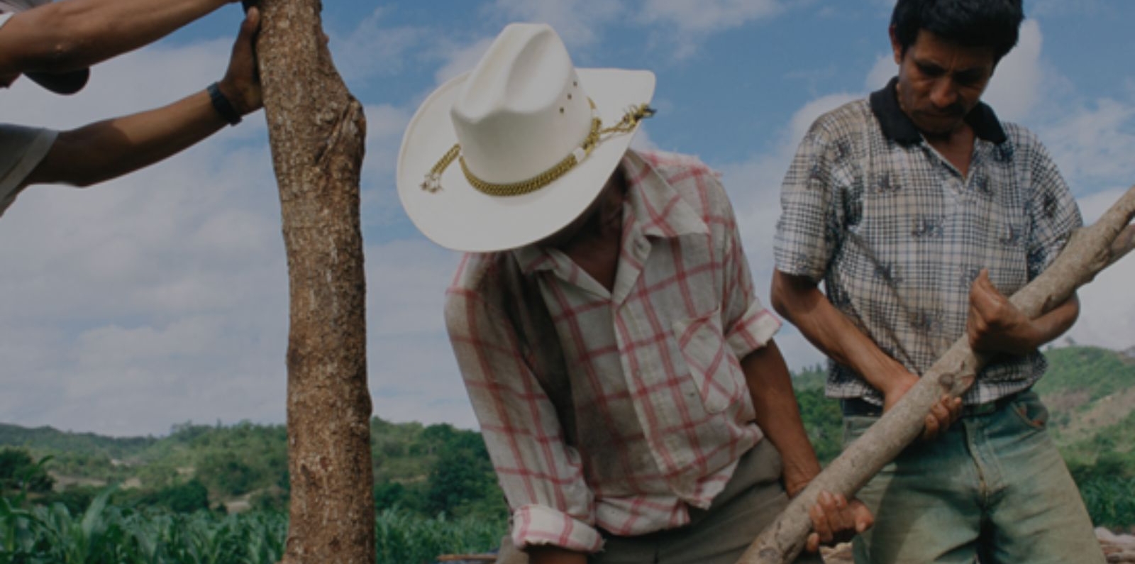 farmers in honduras