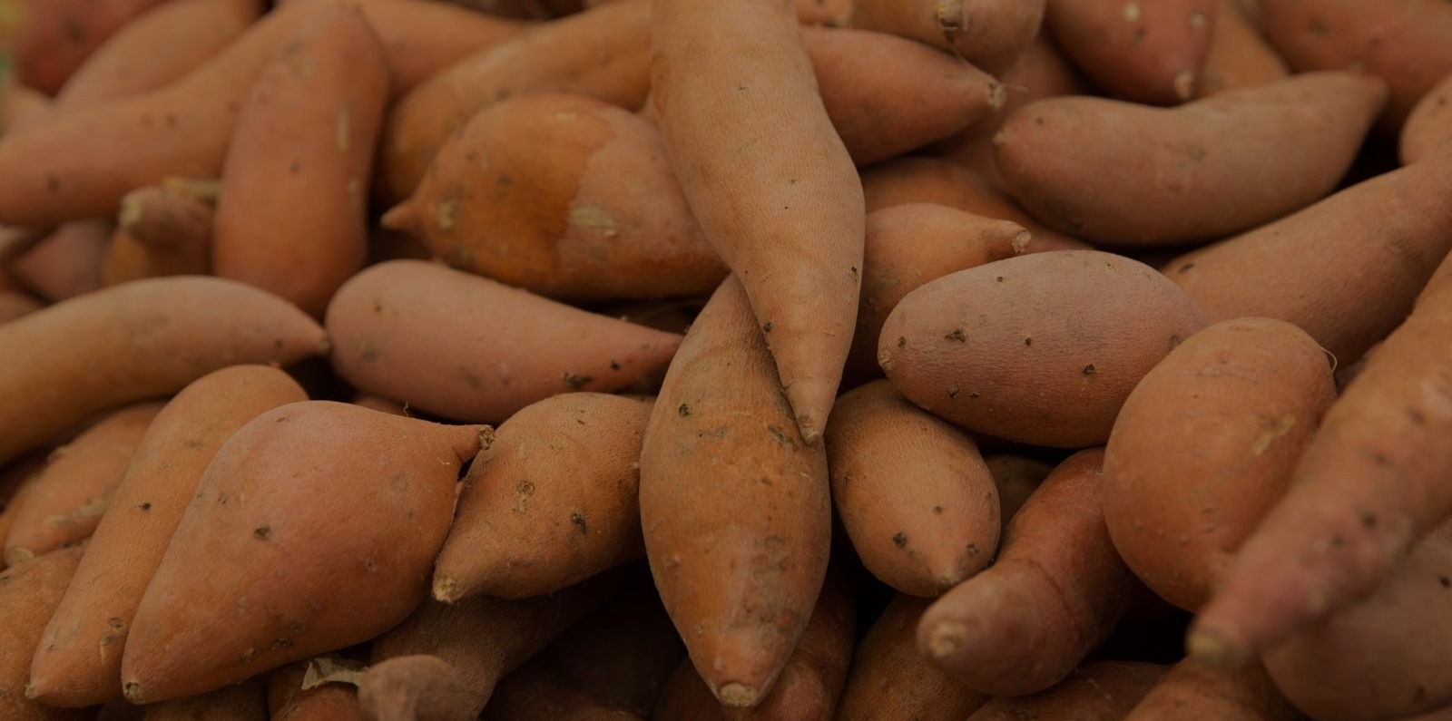 sweet potatoes