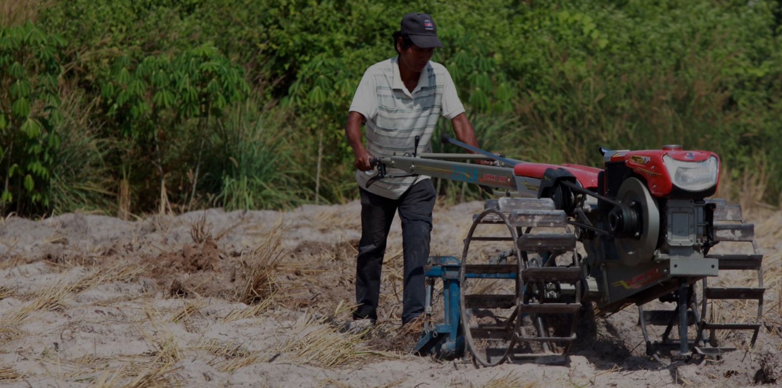 farmer