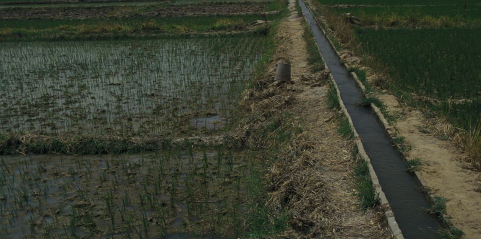 Food and Agriculture Sector Development Project (FASDEP) | Global ...