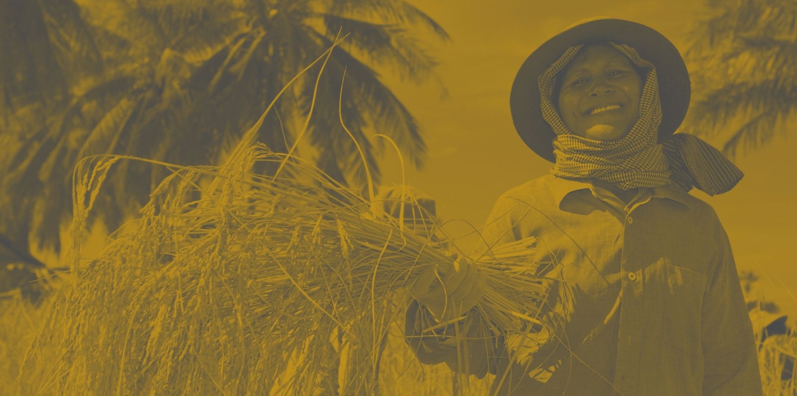 female rice farmer