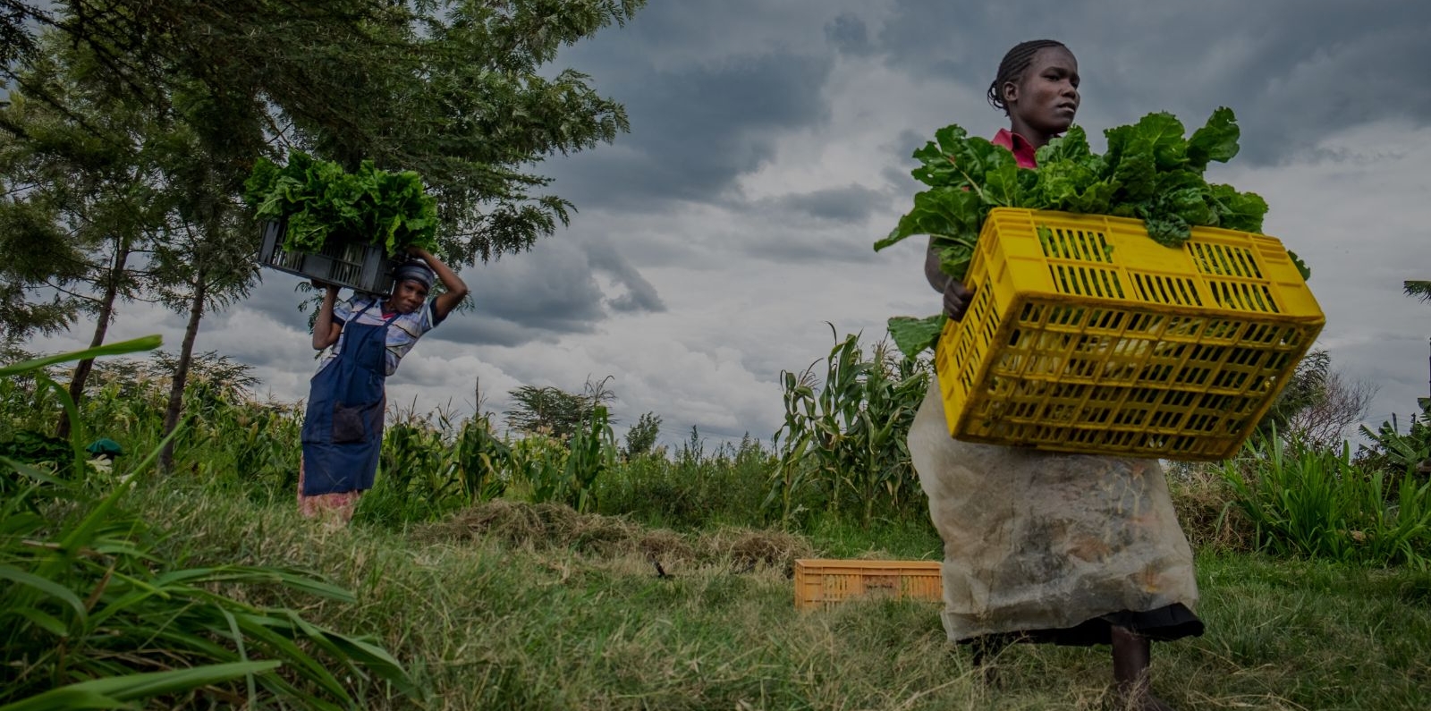 Two female farmers