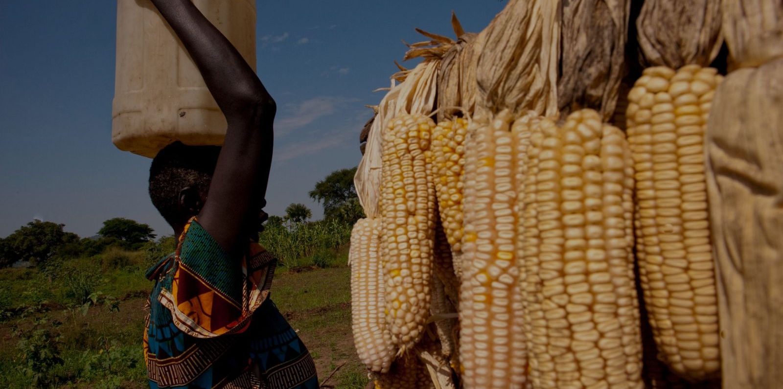 female farmer in a village in South Sudan