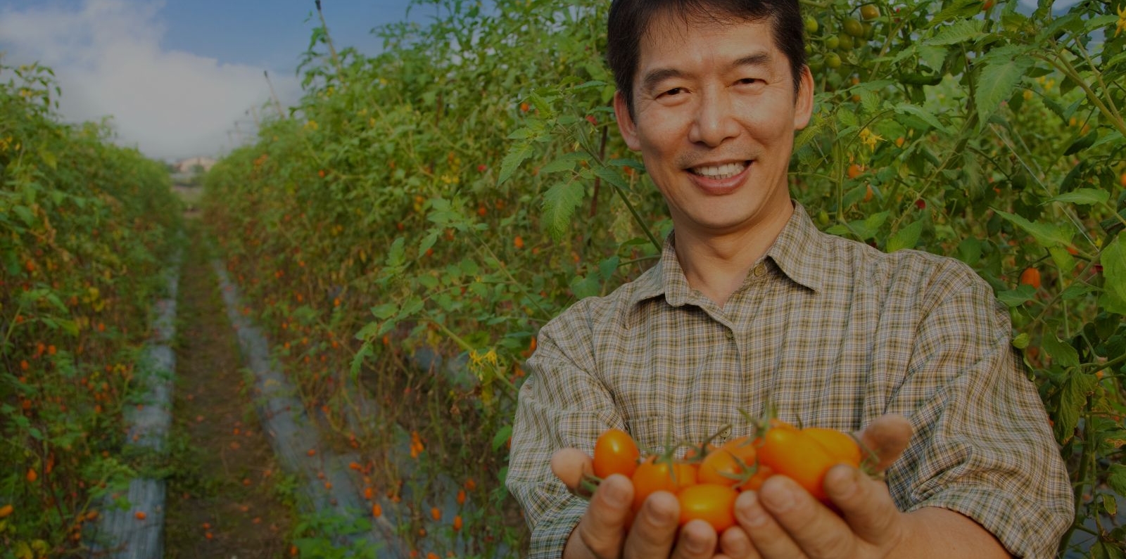 farmer with tomatoes