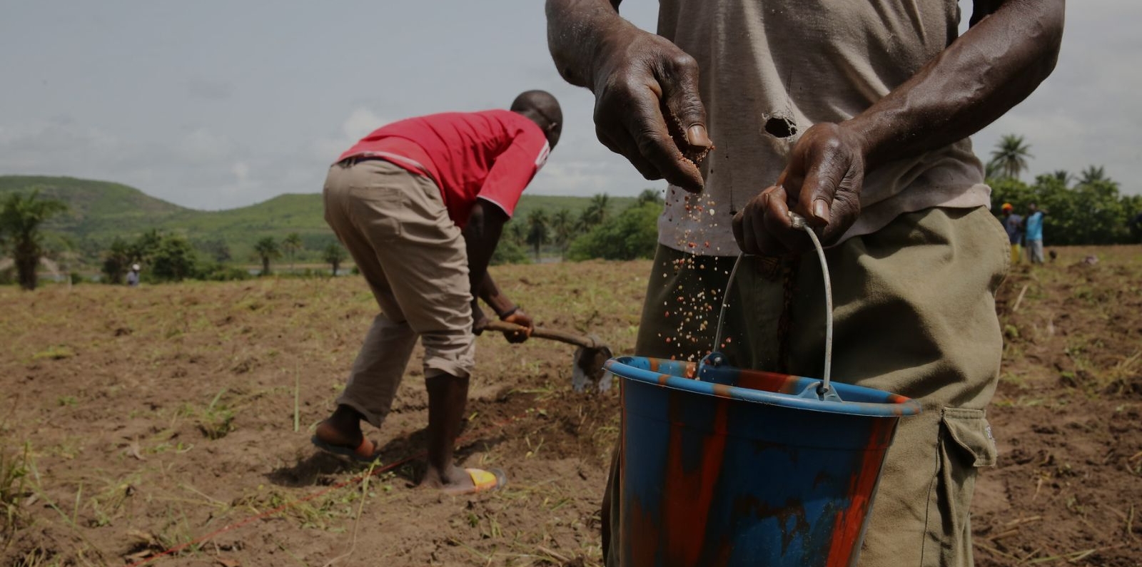 Farmers working in their fields