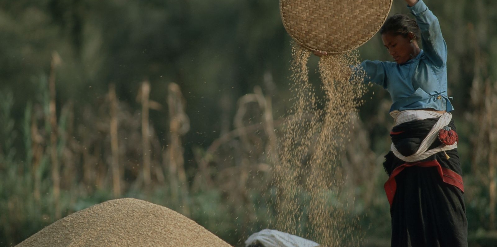 Woman sifting grain in Nepal