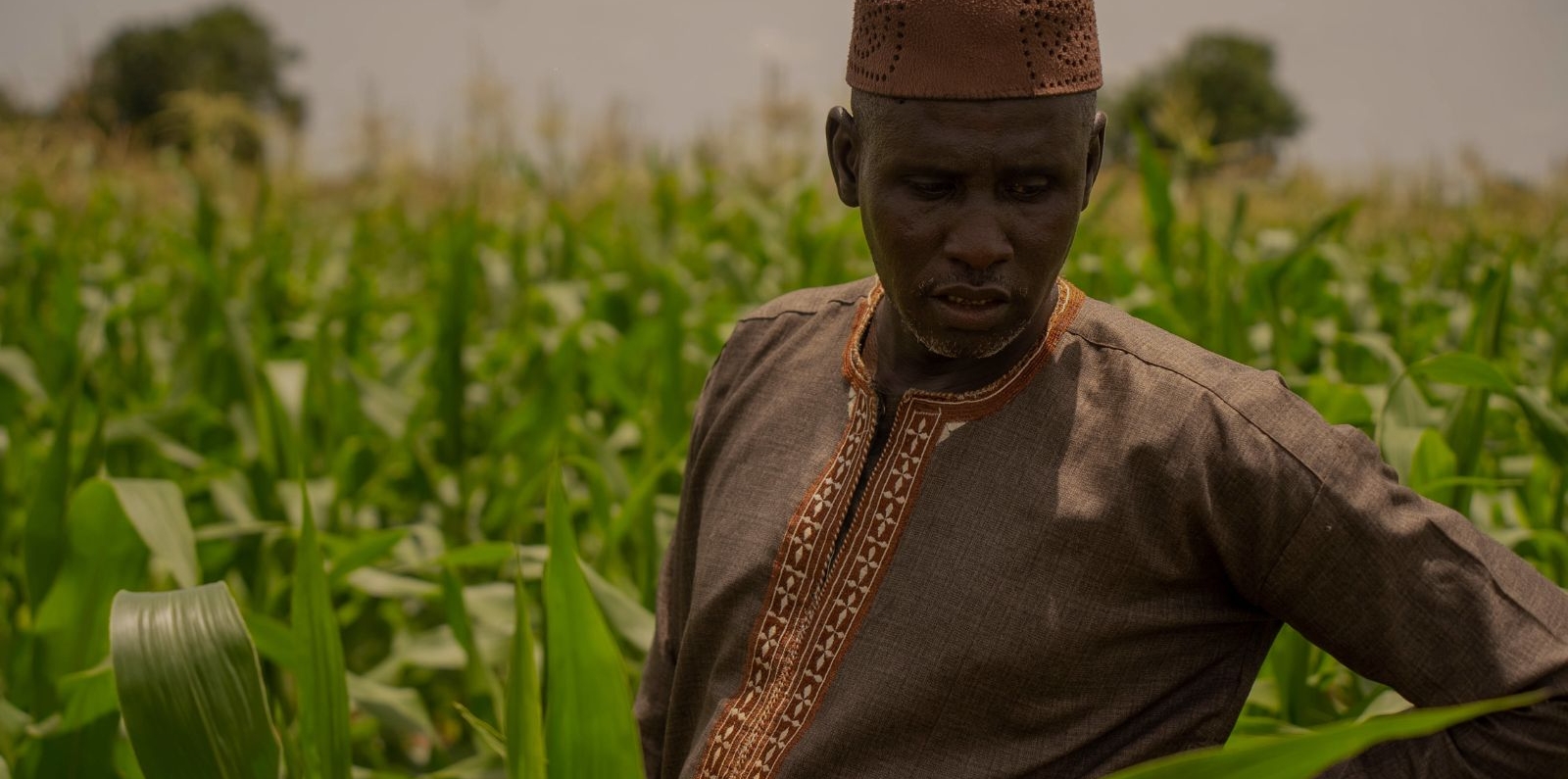farmer in the Gambia