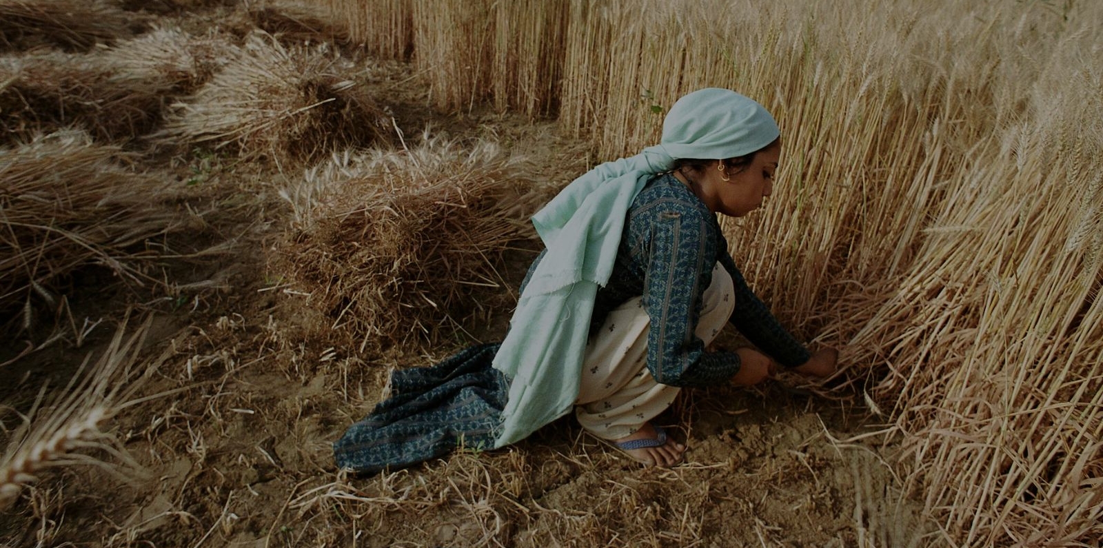 Harvesting crops. Bangladesh. Photo: Scott Wallace / World Bank