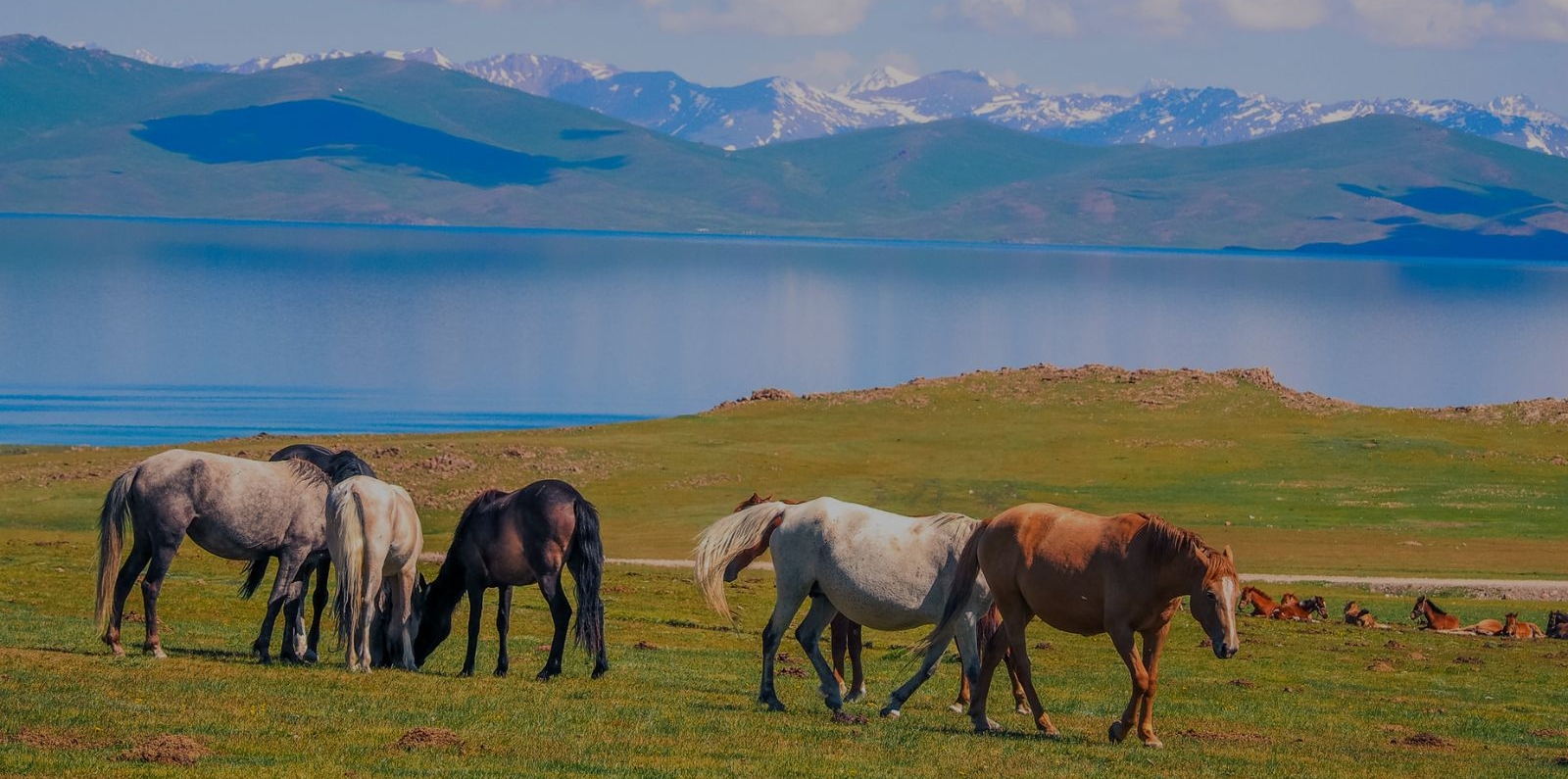 Son Kul Lake, Kyrgyzstan