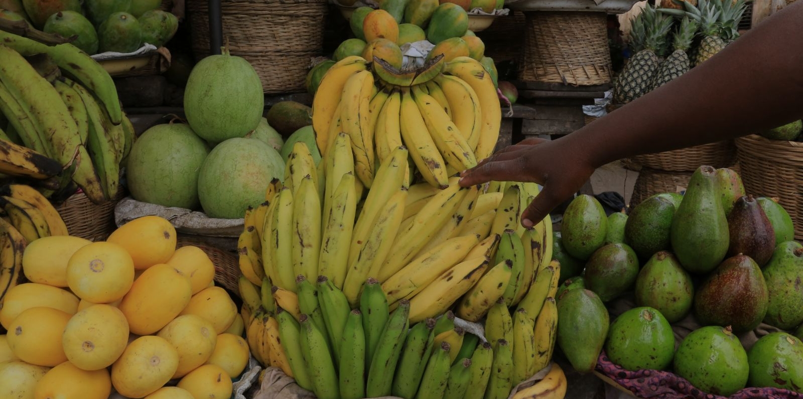 African market. Sale of fruit. Bananas. Lome. Togo. West Africa.