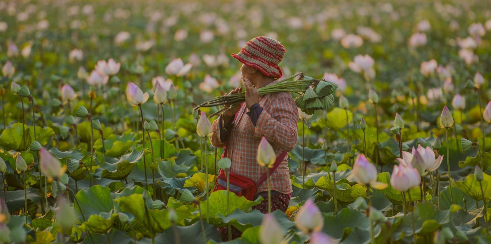 farmer in cambodia