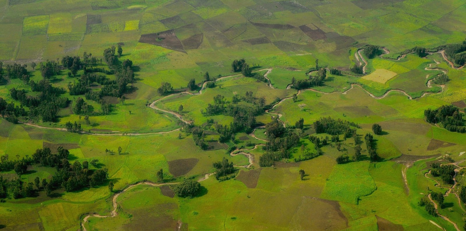 Aerial view of a rural landscape featuring a patchwork of green and brown fields, scattered trees, and winding rivers or streams.