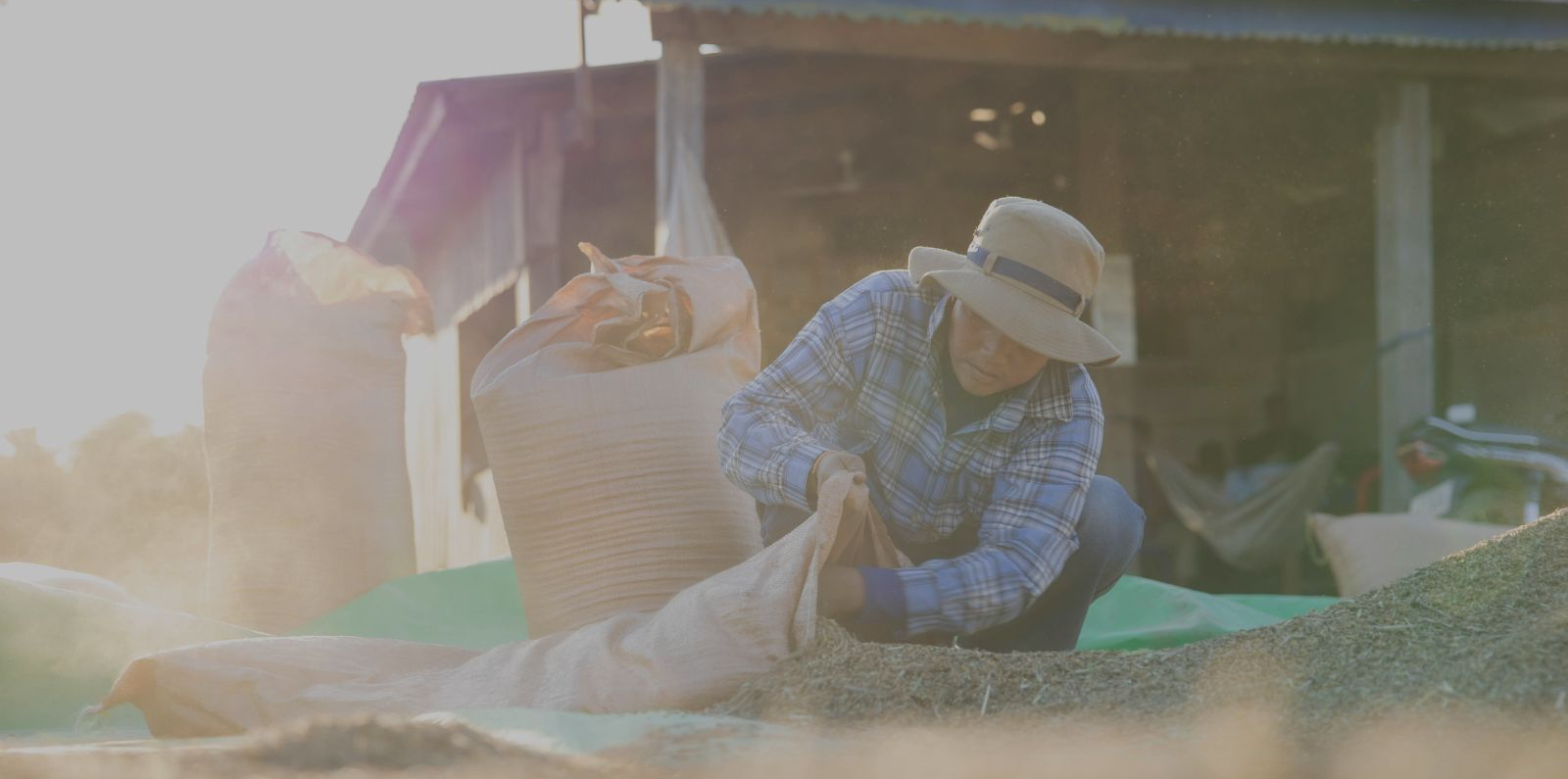 A person wearing a hat crouches beside a pile of grains outdoors, using a sack to gather them. Sunlight flares across the scene, with a simple building and agricultural setting visible in the background.