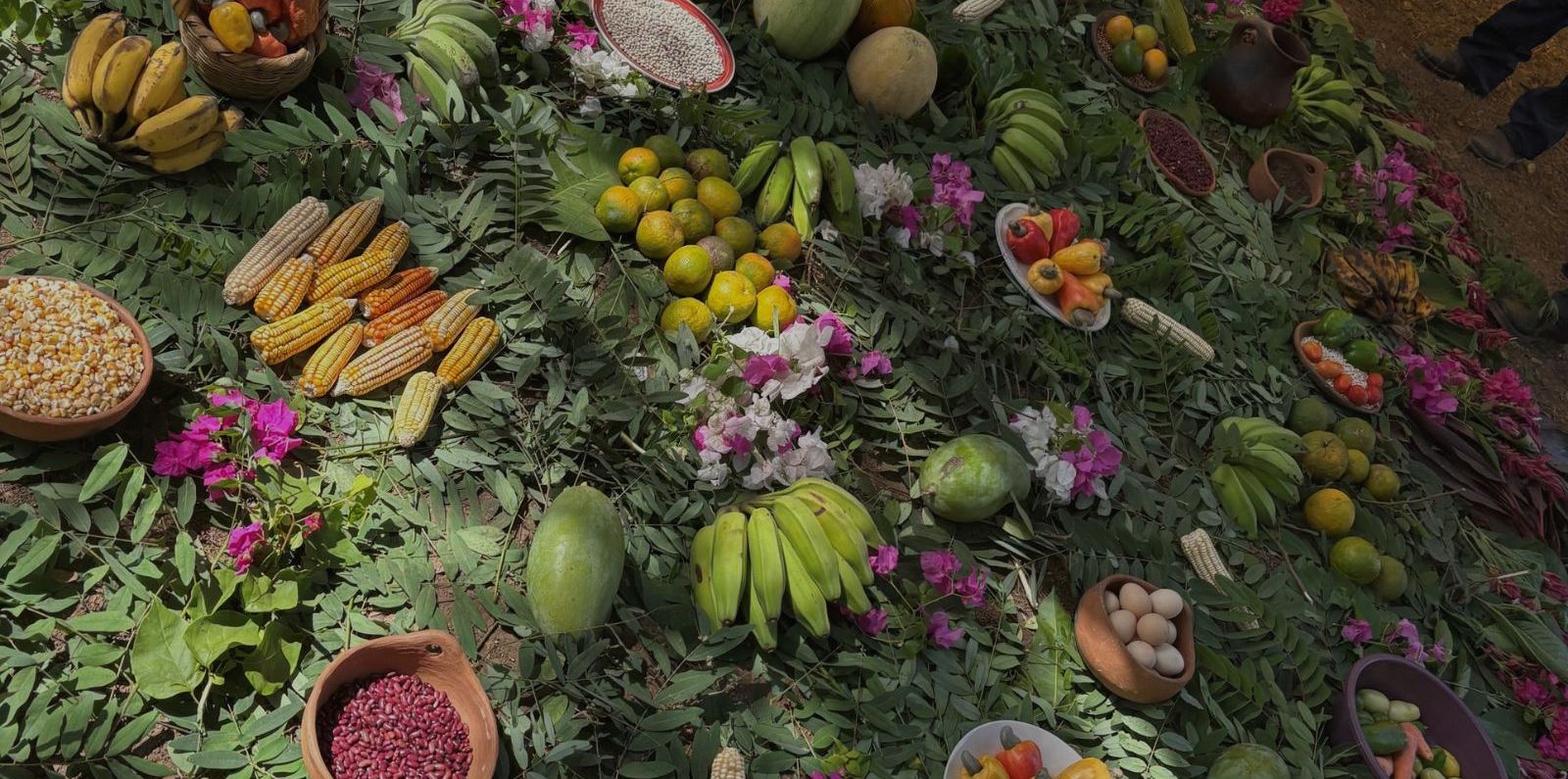 An overhead view of a colorful display of agricultural produce arranged on a bed of green leaves outdoors. Bunches of bananas and plantains, ears of corn, citrus fruits, papayas, beans, eggs, peppers, and other fruits and vegetables are placed in clay bowls and baskets, interspersed with pink and white flowers. The produce forms a vibrant harvest scene highlighting food diversity and abundance.