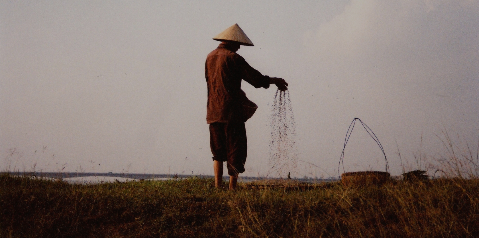 Sifting seeds in a field along Red River in Northern Vietnam. Photo: Quy-Toan Do / World Bank