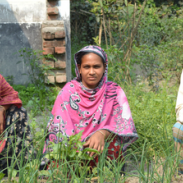 Farmers in Bangladesh