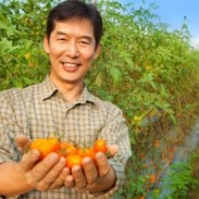 farmer with tomatoes