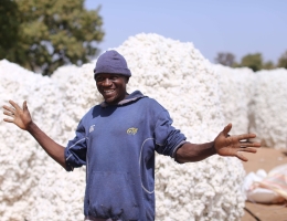 Burkina Faso Cotton