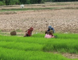 Cambodia