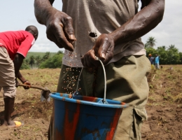 GAFSP Invests in Fertiplant to Boost Agriculture across East Africa