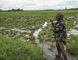 Malawi