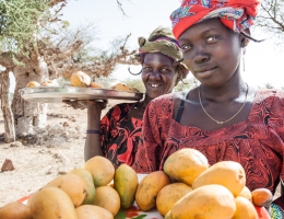 Mango vendors