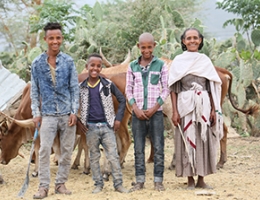 Working with Smallholders in Ethiopia to Create a Market for High-Quality Meat 