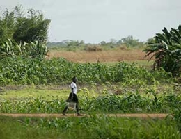 Liberia-thumb