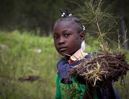 Haiti - farm - UN