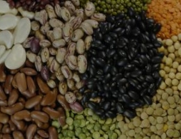 Diverse pulses