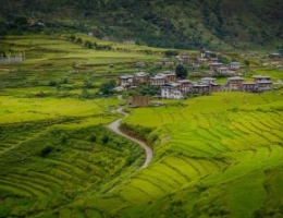 Rural landscape in Bhutan