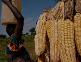 female farmer in a village in South Sudan