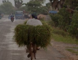 farmer on a bike