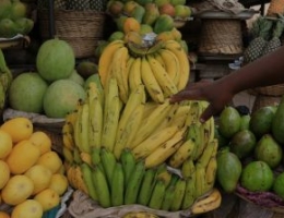 African market. Sale of fruit. Bananas. Lome. Togo. West Africa.