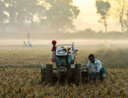 Morning Field Work with Agricultural Tractor