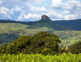 Lush green hills with a rocky mountain peak rising in the distance under a partly cloudy sky.