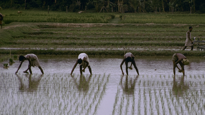 Bangladesh