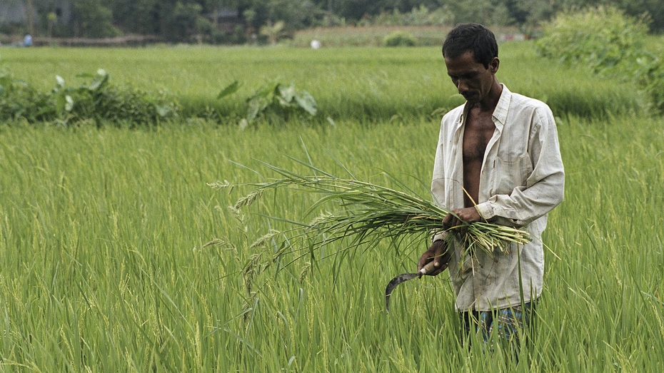 Bangladesh