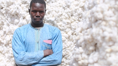  cotton farmers in Burkina Faso