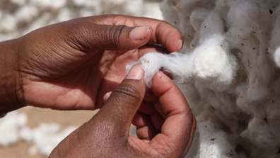 burkina faso cotton