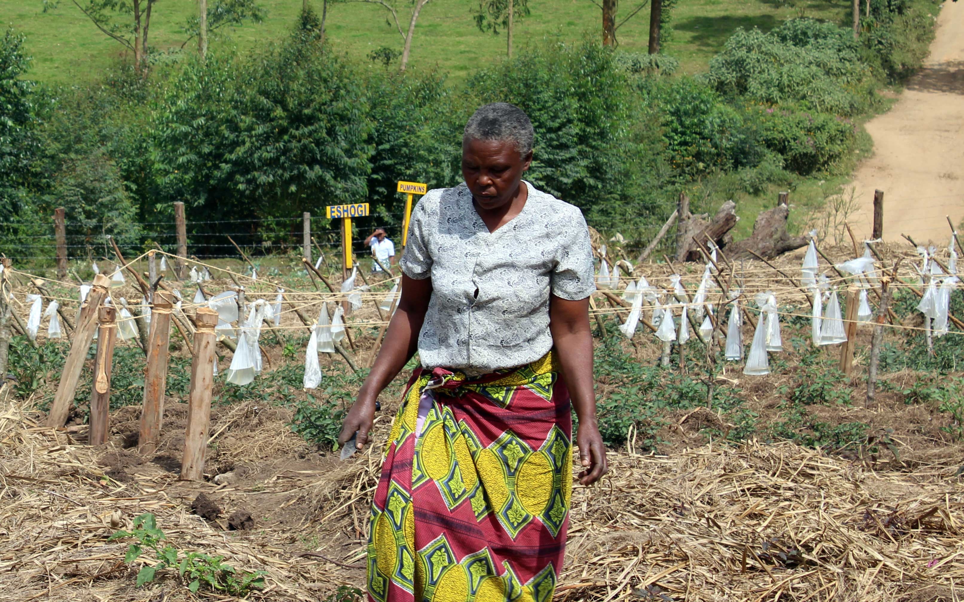 Empower Smallholder Farmers