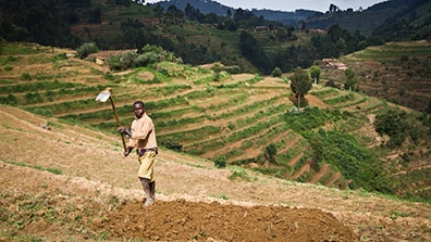 Farm-ActionAid