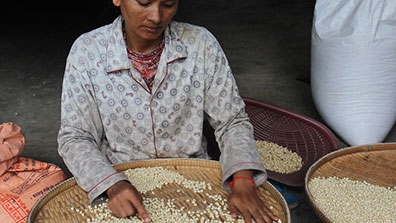 Farmer in Cambodia