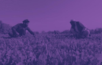 2 men on a farm