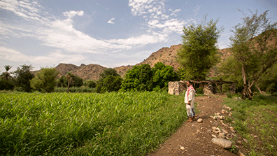 Farmer standing in front of his farmland in Yemen