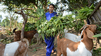 Female farmer in Nepal